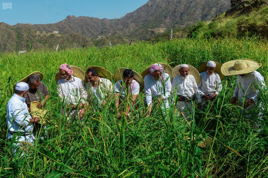 الجمعية التعاونية متعددة الأغراض بقطن